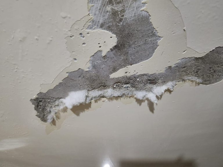 Symptoms of Mold Exposure