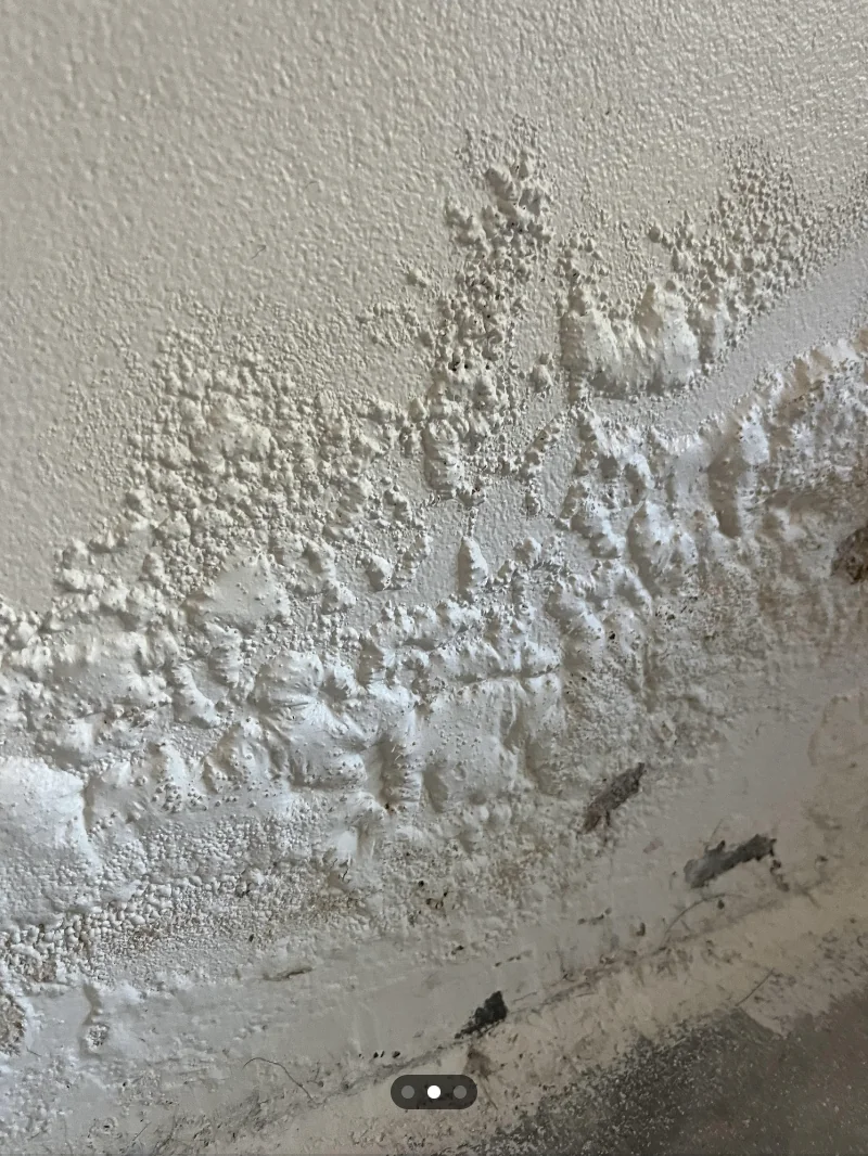 damp walls in Nairobi home indicating mold growth