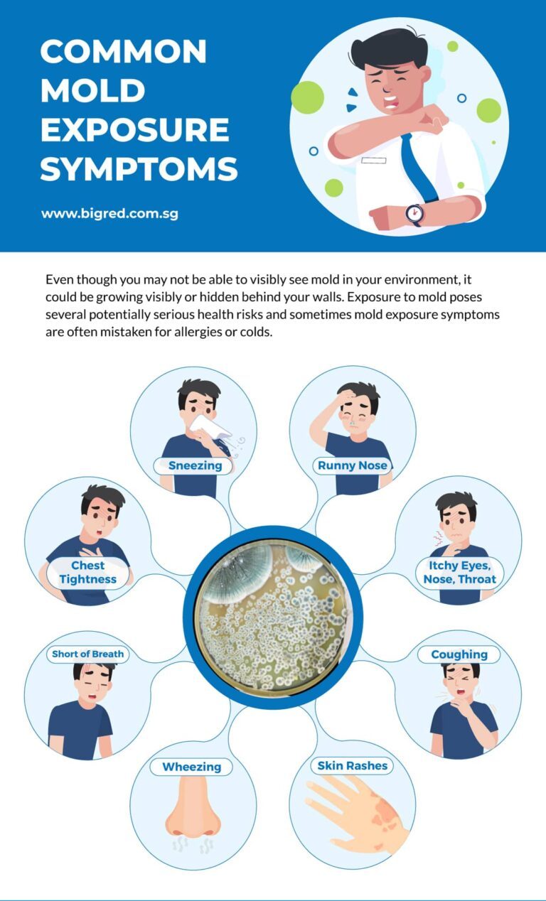 Health risks of indoor mold exposure including respiratory symptoms