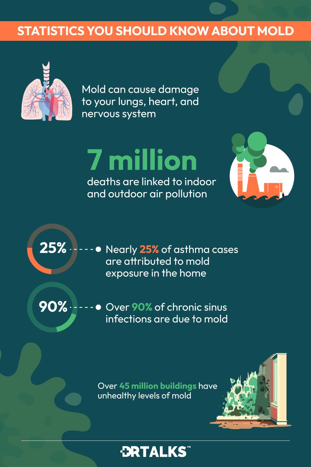is mold dangerous? Things you should know about mold