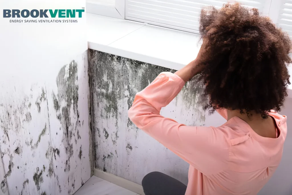 Hidden mold
