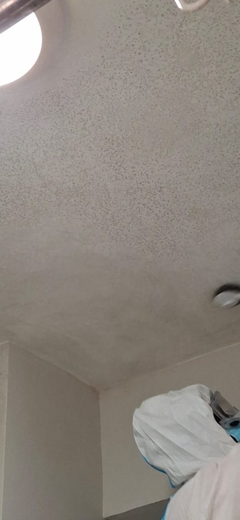 mold in bathrooms