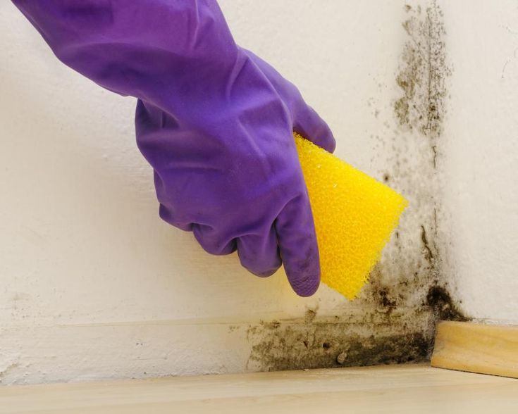 DIY mold cleaning at home