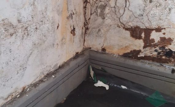 mold damp